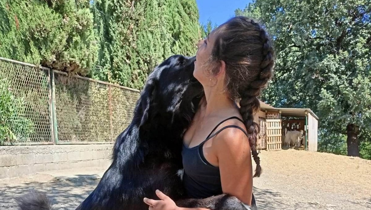 Cane abbraccia la proprietaria