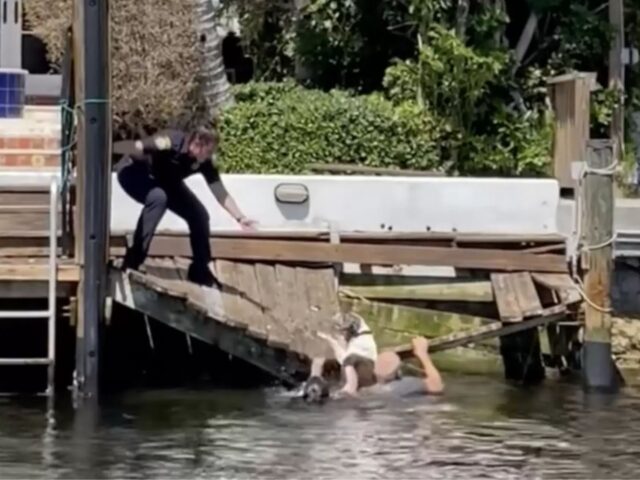 Rimanevano pochi secondi prima del peggio, ma questo cane è stato salvato con grande coraggio