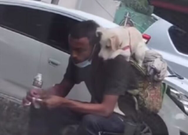 “A volte chi possiede di meno, ha molto di più”: l’amore fra il cane e il suo padrone è puro oro (VIDEO)