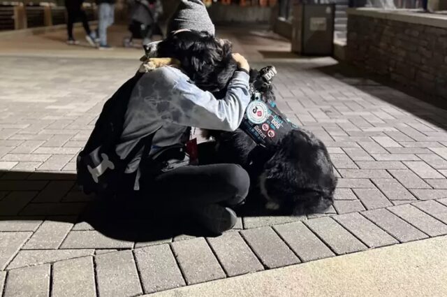 Cane salva la vita alla proprietaria malata disubbidendo agli ordini