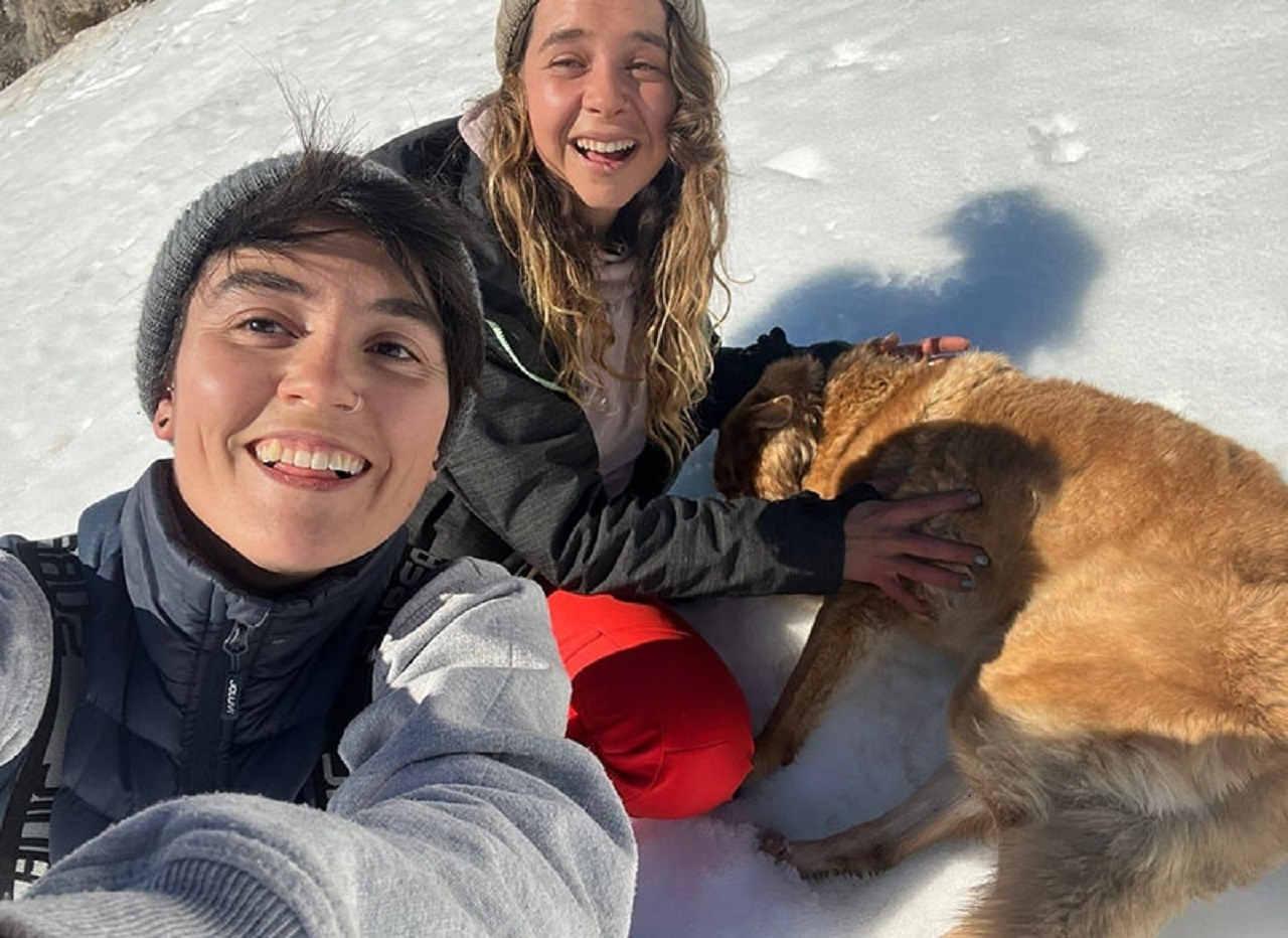 Cane sdraiato sulla neve