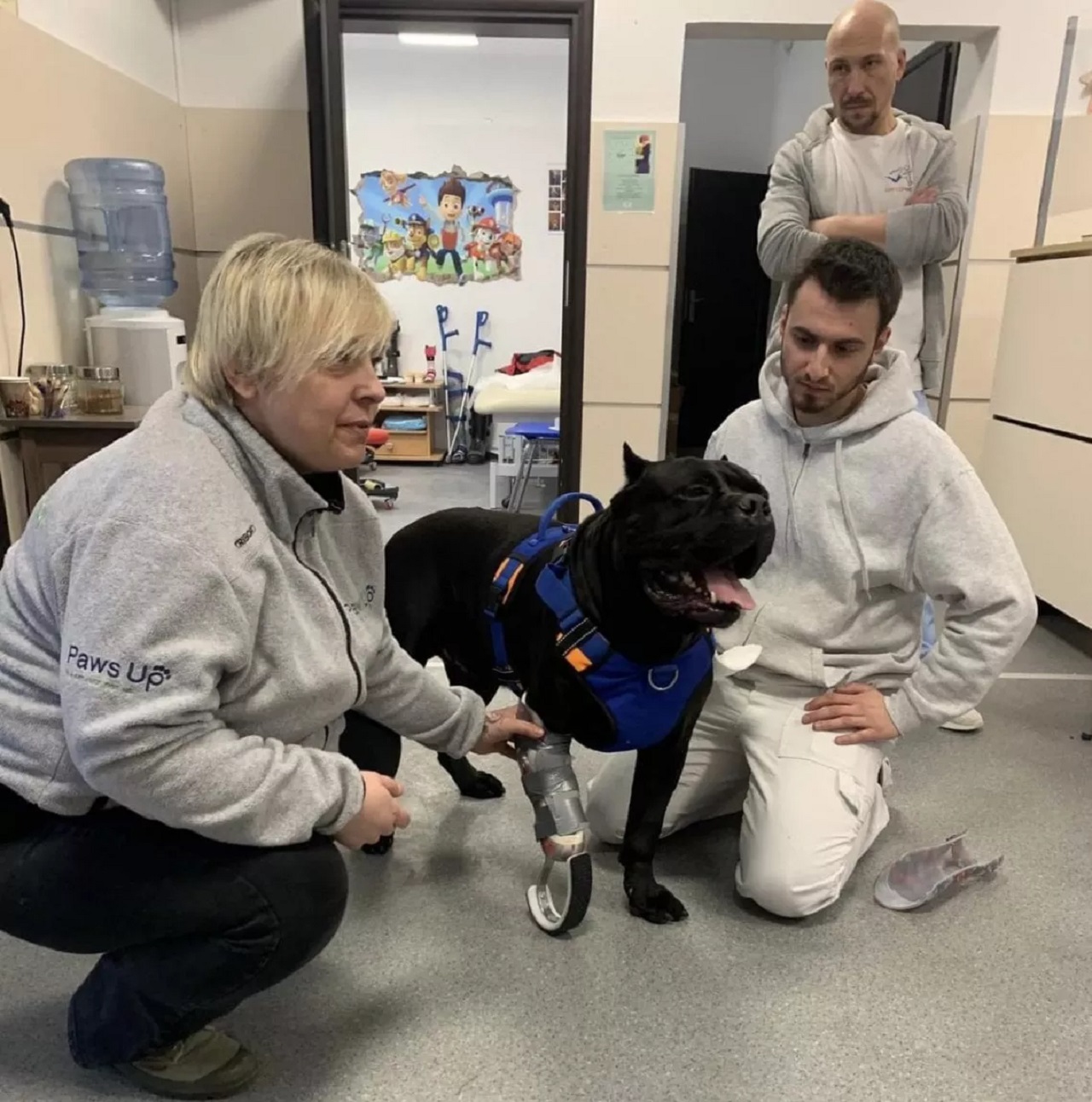 Cane nero visitato dal veterinario