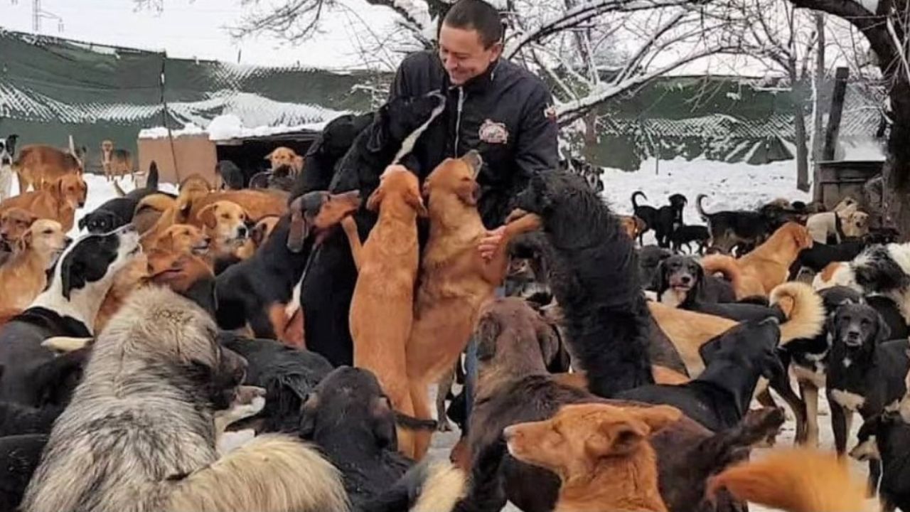 uomo con i suoi cani 