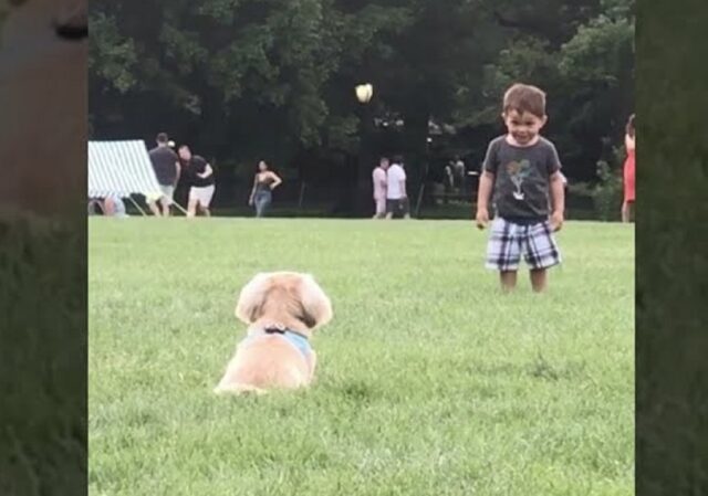 Cucciolo corre incontro a un bambino per giocare insieme a lui