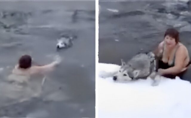 Una donna è saltata nell’acqua ghiacciata pur di salvare il suo amatissimo cane