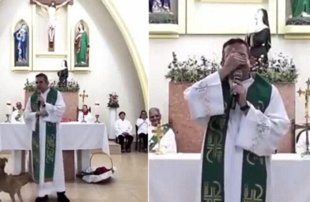 Due cani randagi in chiesa, il prete scherza: “Non siete ancora stati battezzati?”