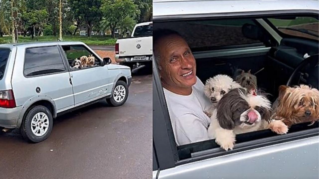 Un uomo in auto con i suoi cani