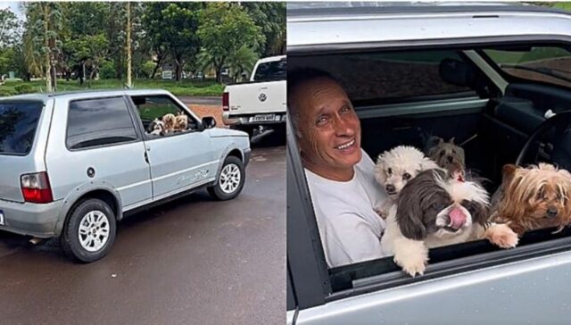 Un uomo porta a passeggio tutti i suoi cani con la sua auto: andiamo a conoscerli insieme!