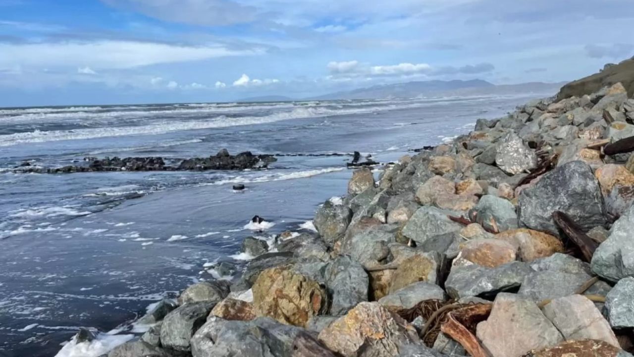 mare con delle rocce