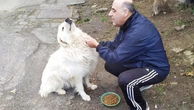 Maremmano che vive in strada a Corcolle non vuole una casa, gli piace vivere libero