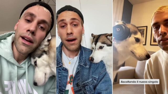 I cani di Mr Rain, Tokyo e Sushi: il cantante di Sanremo 2023 ama gli animali