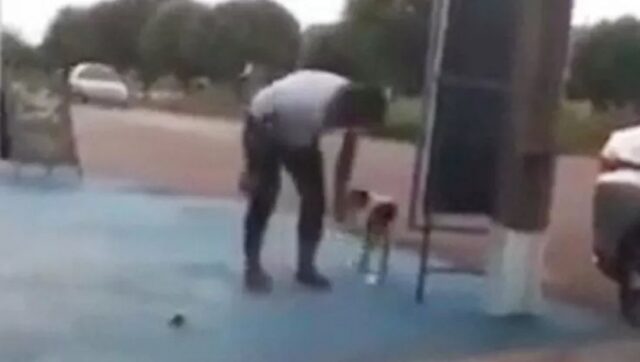 Petardo legato alla coda di un cane, parlamentare brasiliano sotto accusa