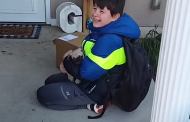 Ragazzo con autismo è felice quando viene sorpreso con un cucciolo