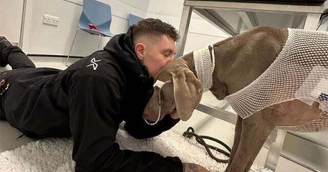 Proprietario fa di tutto per salvare la vita del suo cane, di fronte a un conto veterinario di 20mila dollari
