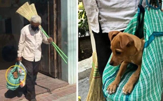 L’uomo esce per fare il suo lavoro, ma non intende lasciare il suo amato cucciolo a casa