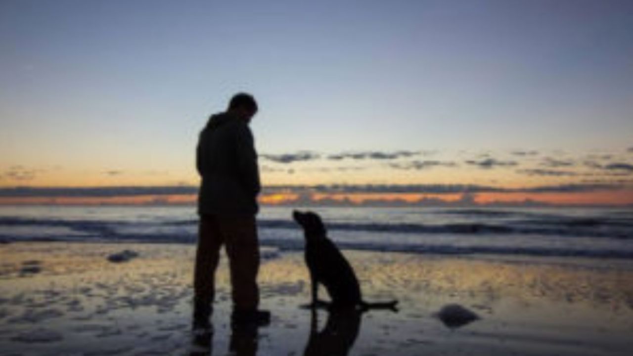 cane con padrone in controluce