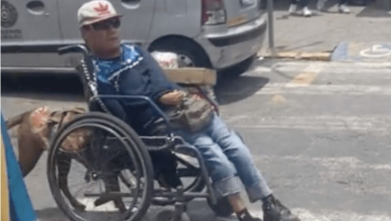 uomo in sedia a rotelle trainato da cane 