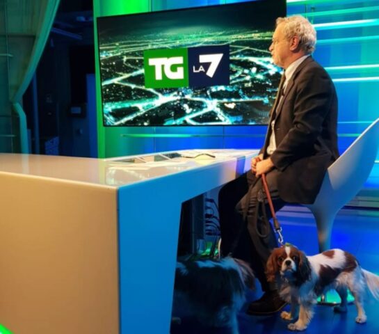Due ospiti nascosti al tg: che spasso i cani di Enrico Mentana