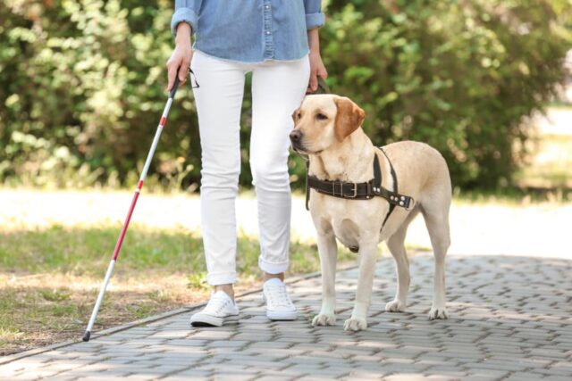 Ha un cane guida e nessuno lo vuole: la ragazza cieca rischia di restare senza casa