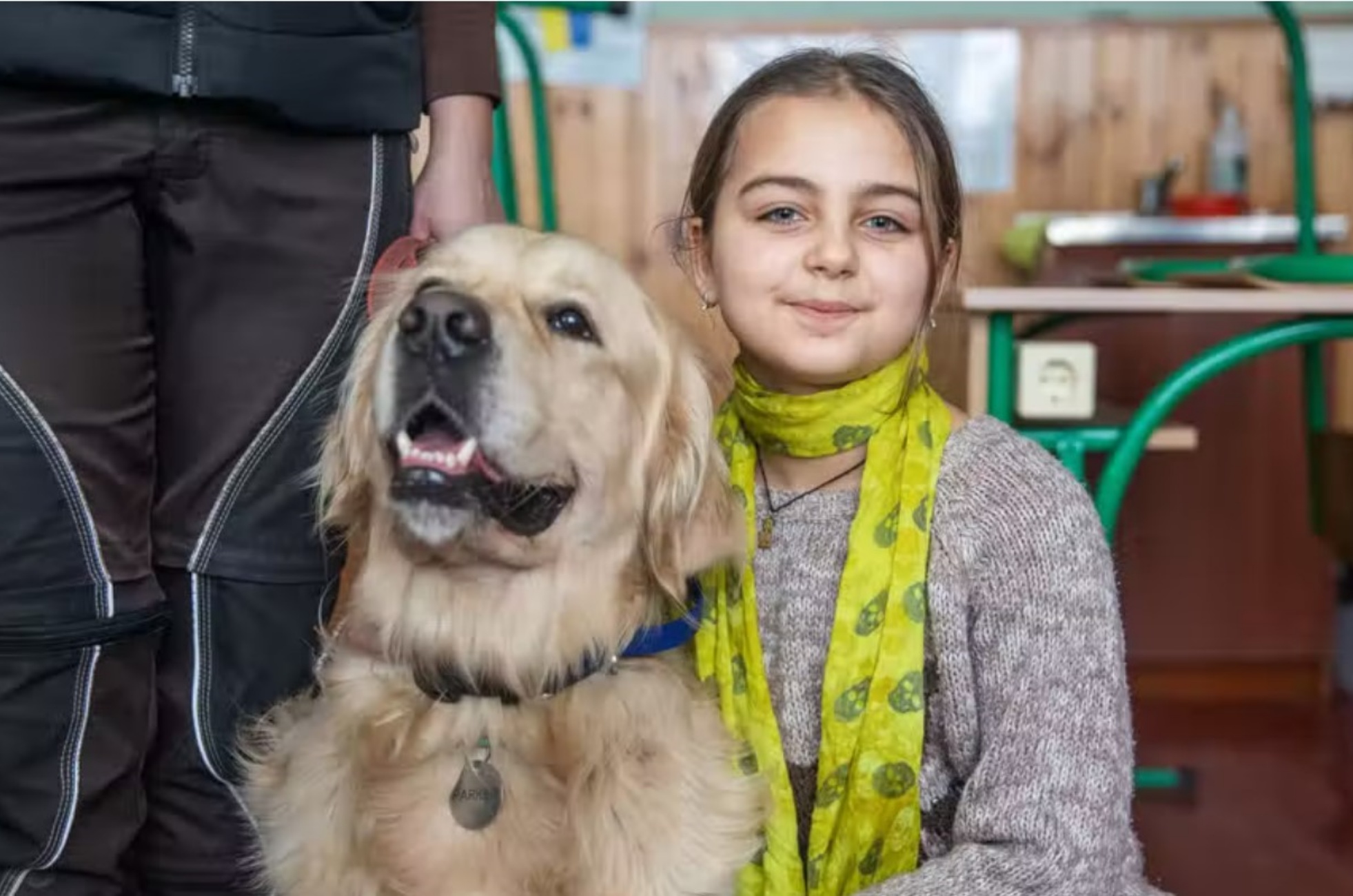 golden retriever e bambina