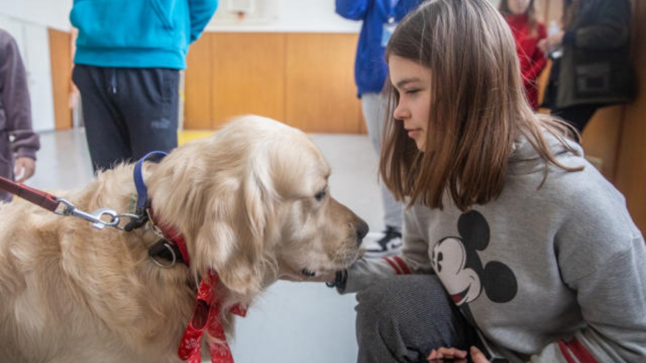 bimba e golden retriever