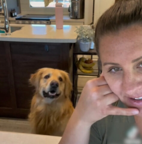 Questa donna ha usato le parole preferite del suo cane durante una telefonata e ha catturato le sue reazioni
