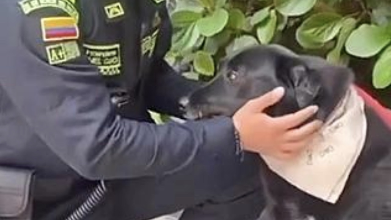 Poliziotto con cane