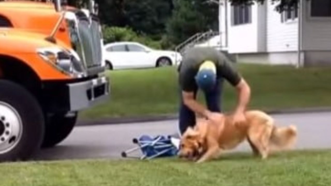 un cane accoglie il netturbino