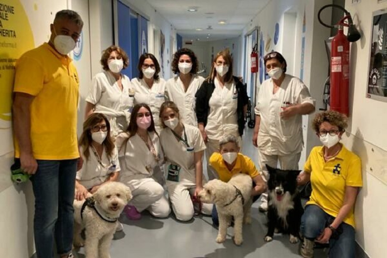 Pet therapy in ospedale