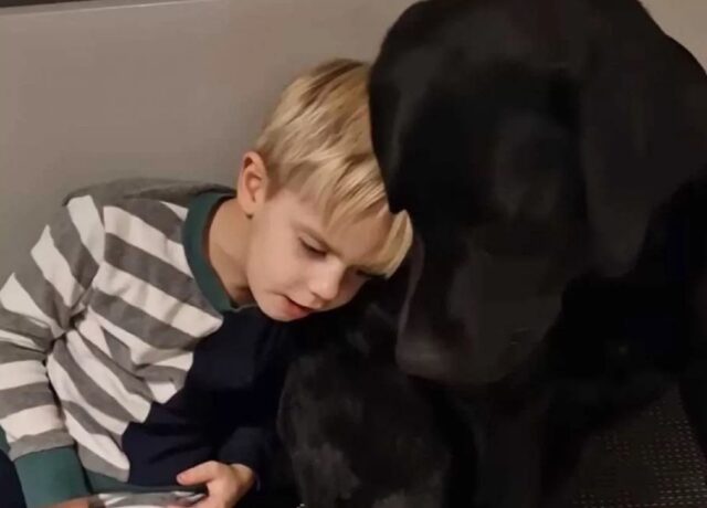Bimbo non vedente ama il suo cane più di ogni altra cosa al mondo