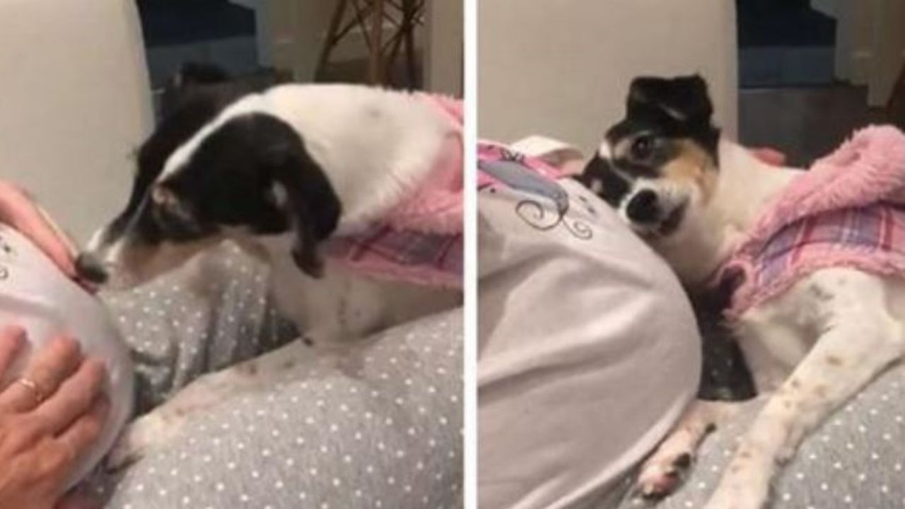 Una cagnolina di nome Penelope insieme alla sua mamma adottiva Juliana