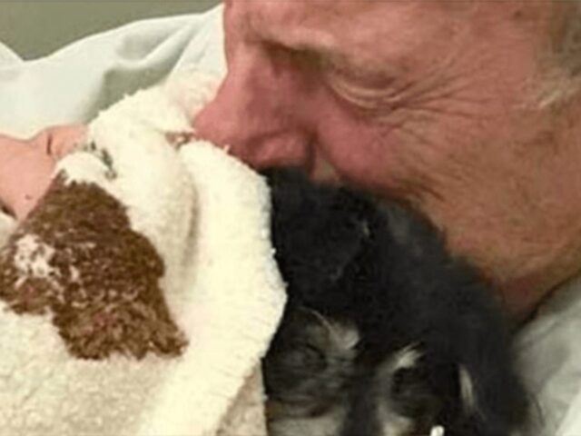 L’uomo era così legato al suo cane da morire pochissimo tempo dopo il loro ultimo saluto