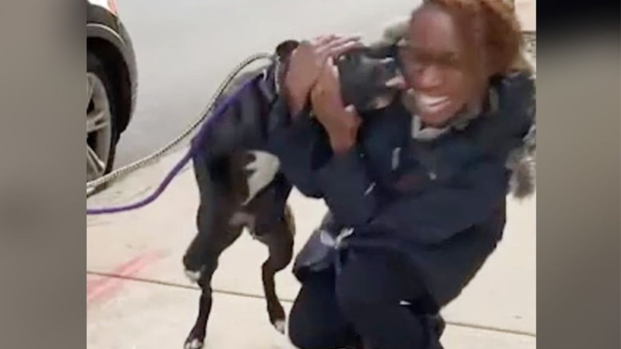 ragazza abbraccia il suo cane nero