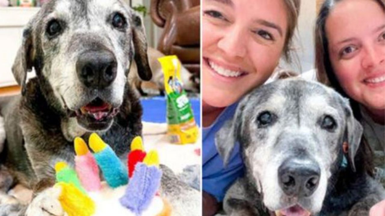 Lisa e Lauren insieme ad una cagnolina di nome Anne
