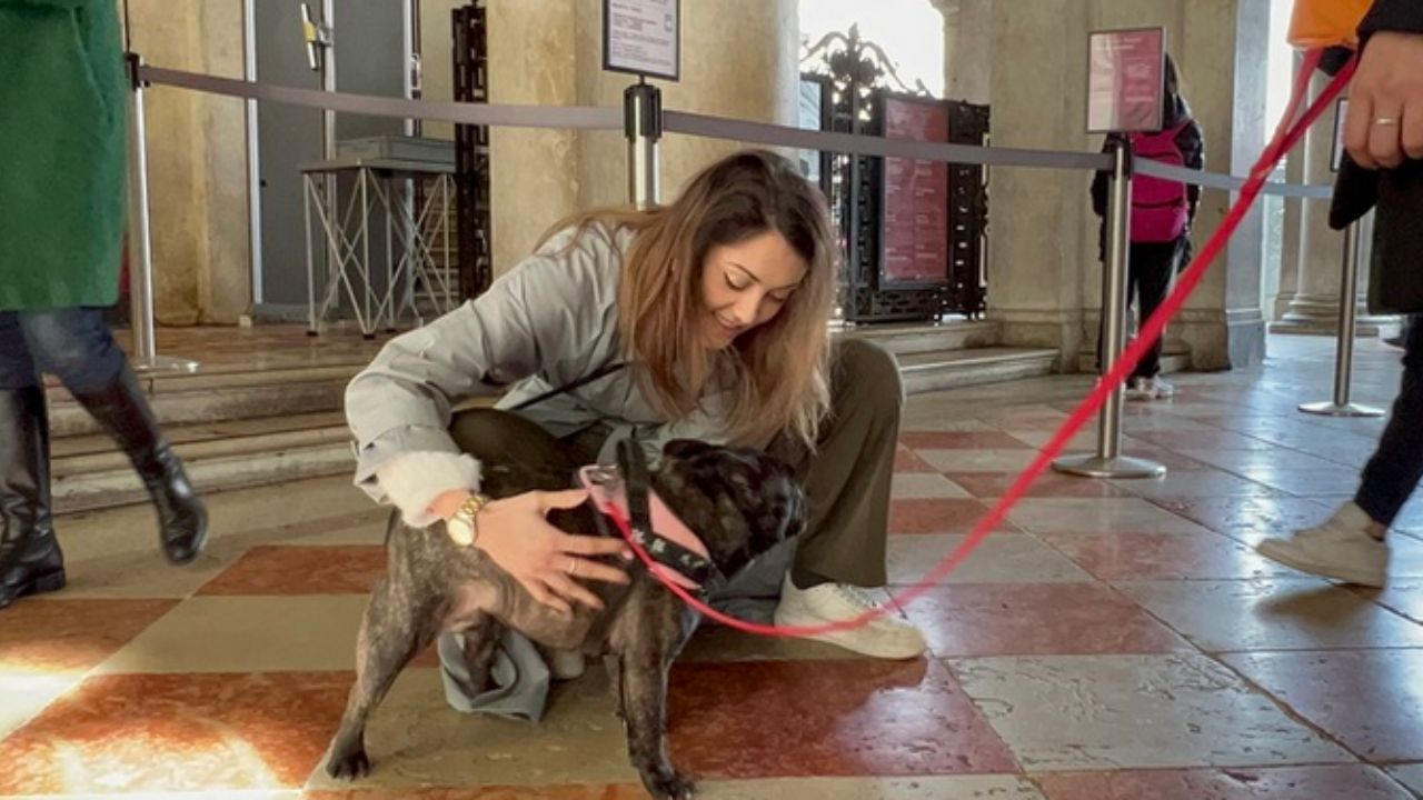 ragazza che accarezza un cagnolino