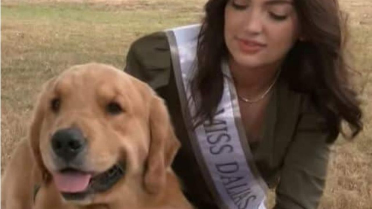 cane insieme alla sua proprietaria