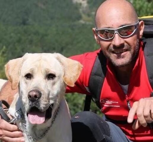 Cane da soccorso perde la vita durante una passeggiata, addio a Byron