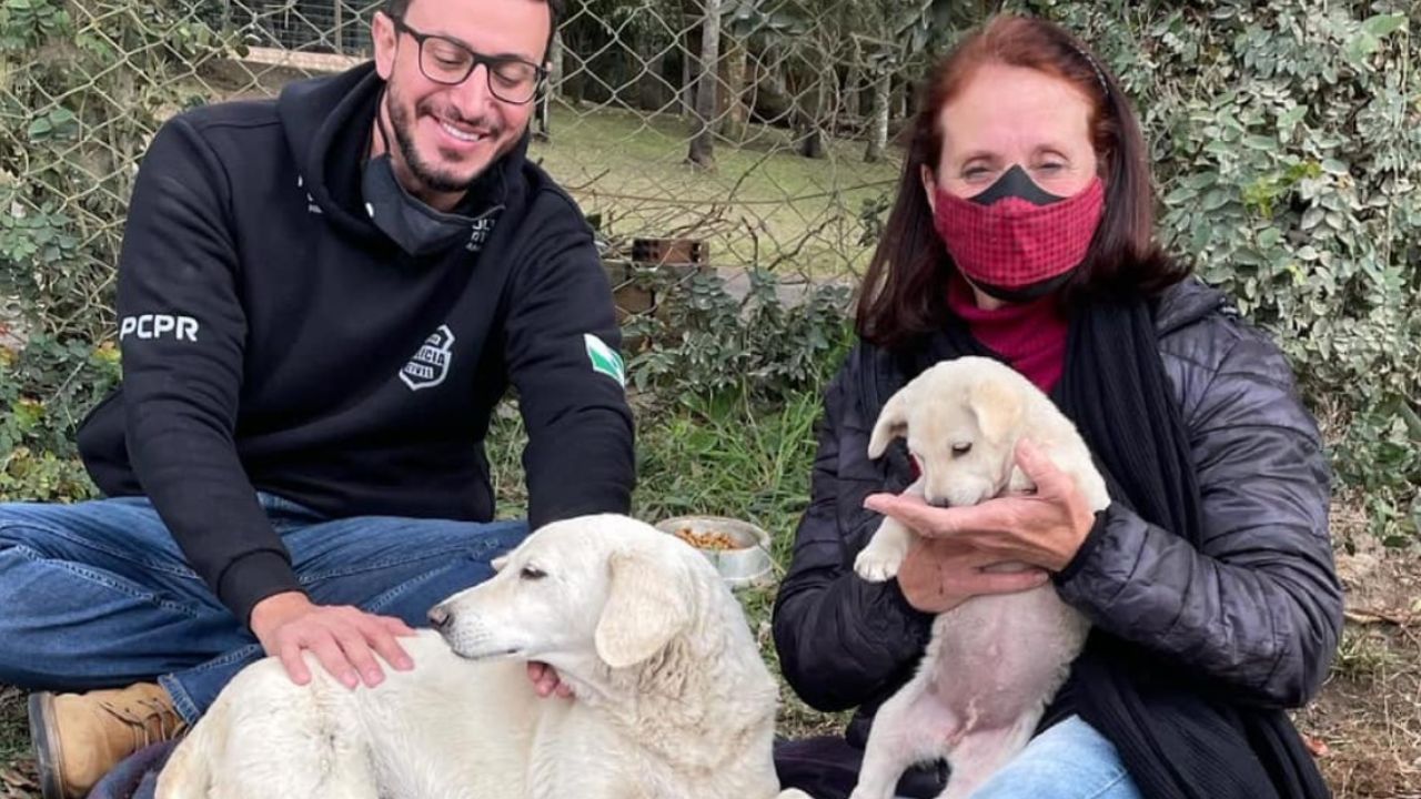 cani bianchi con un uomo e una donna