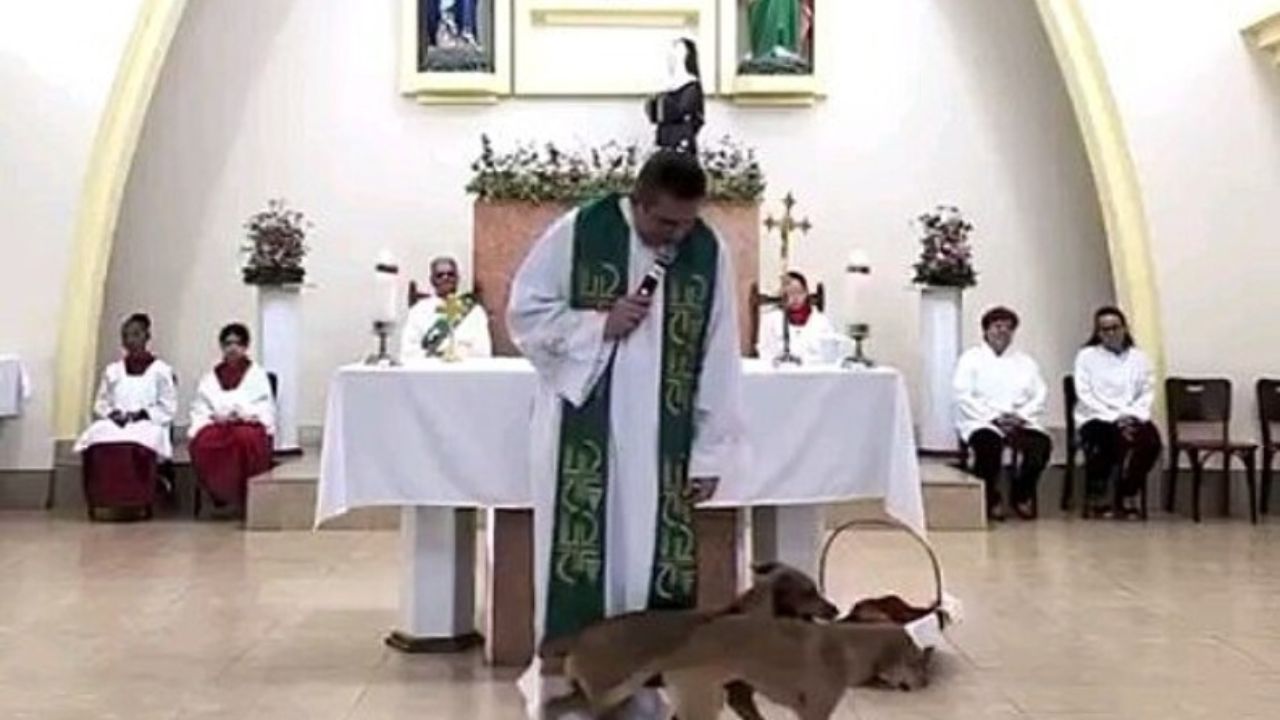 cani vicino al prete 