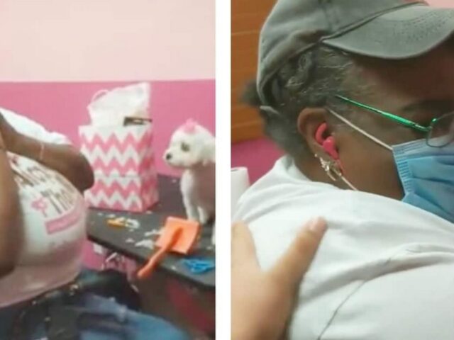 La toelettatrice che ha appena perso il suo cane viene indotta con l’inganno a lavorare sul suo nuovo cucciolo