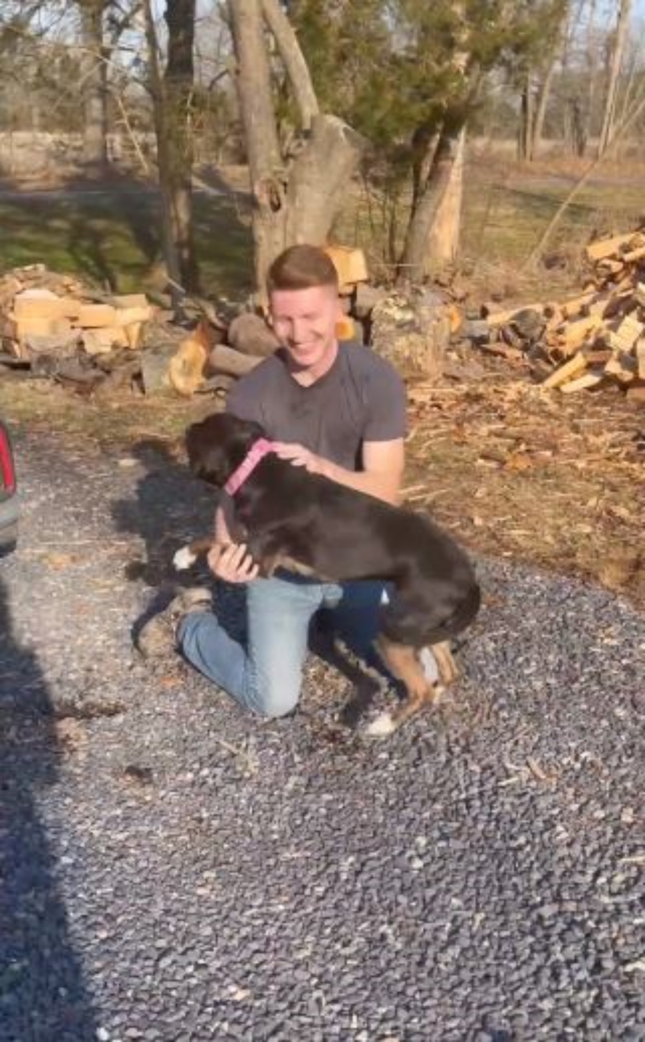 Un ragazzo con un pitbull di nome Posie
