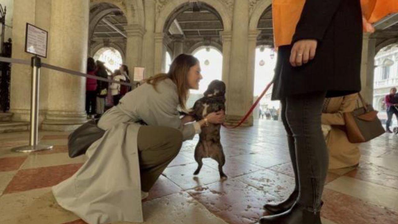 cane in poisizione eretta con giovane donna