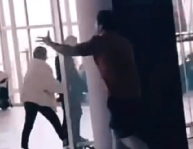 “Non sono valige”: dopo un brutto momento, quest’uomo attacca chi si occupa dei cani in aeroporto