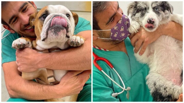 Questo veterinario ha un modo molto, molto speciale per vaccinare i cani