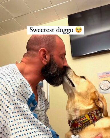 Non lo lascia neanche per un momento: questo cane sta accanto al suo umano in ospedale