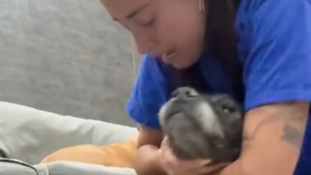 È il momento dell’addio: la ragazza abbraccia e bacia per l’ultima volta il suo anziano cane malato