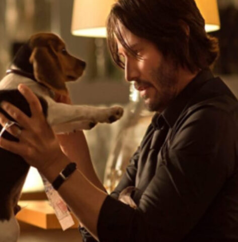 E se vi dicessimo che John Wick e il suo cucciolo sono esistiti? Questa è la loro vera storia