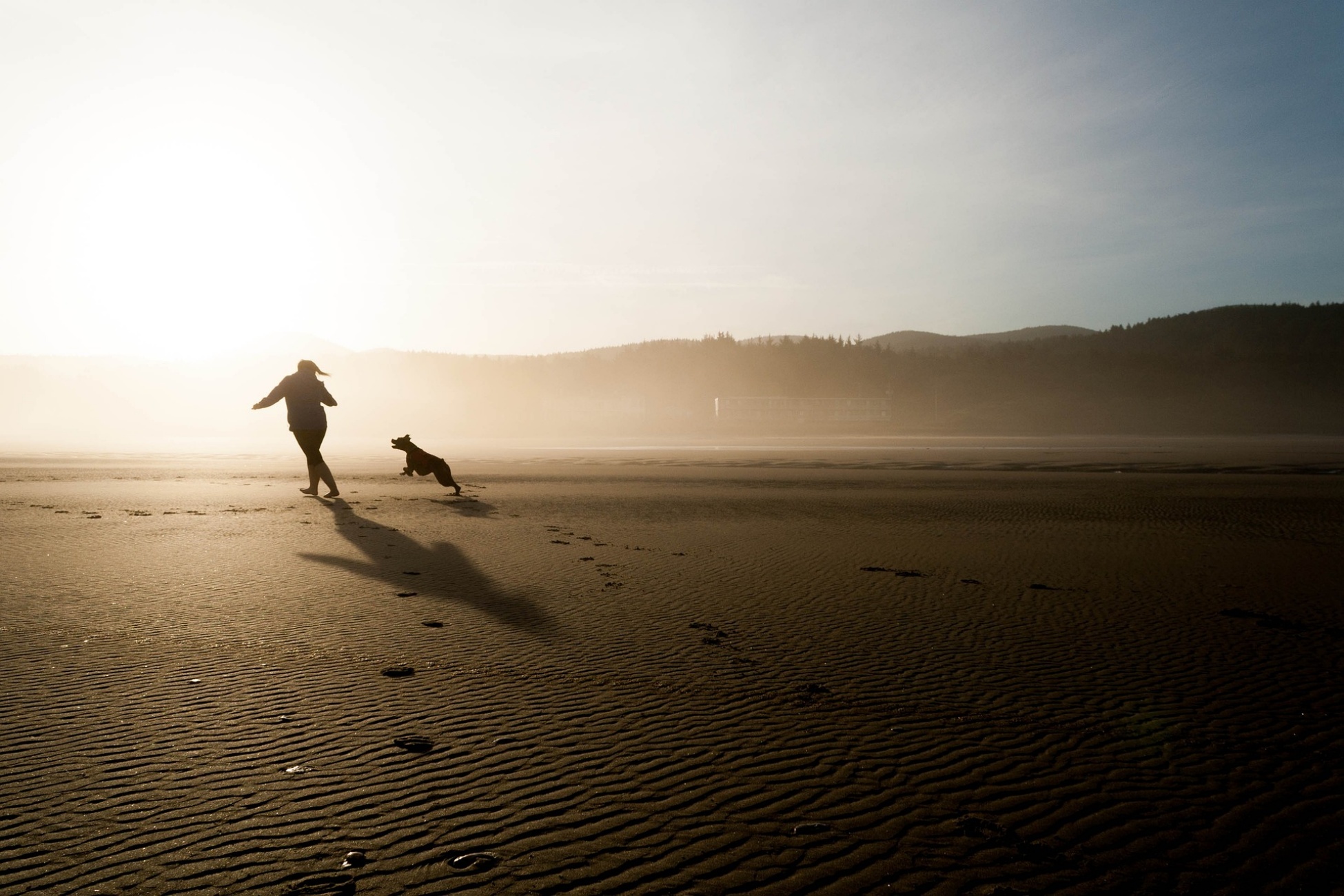 cane e uomo in spiaggia