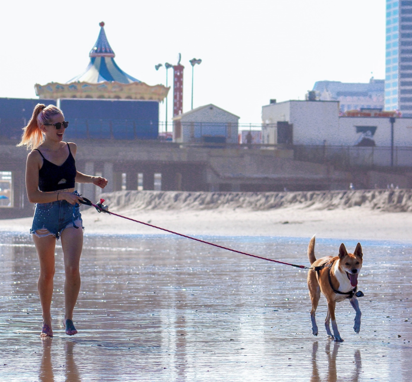 cane e umana in spiaggia