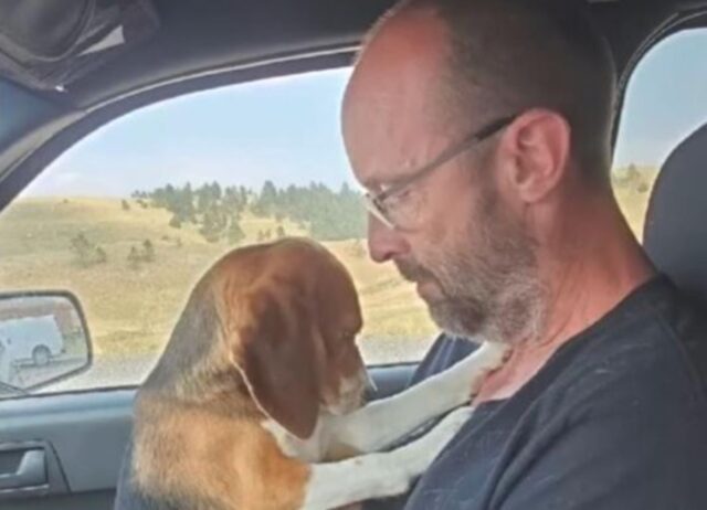 Il Beagle salvato dal laboratorio salta addosso all’uomo che lo ha salvato e non vuole più lasciarlo andare